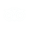 Tripadvisor Icon