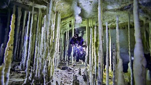 Pet cemetery scuba diving