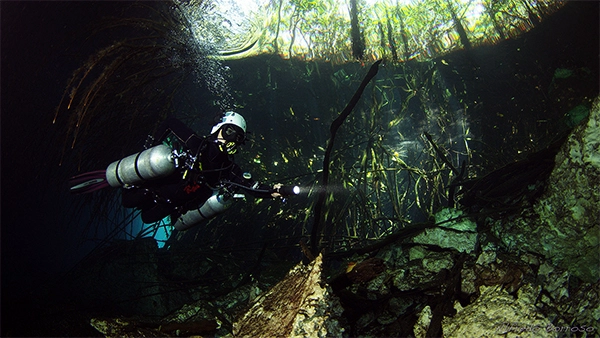 Ponderosa cenote diving