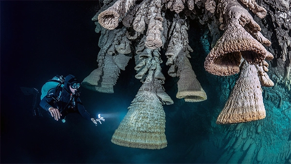 Cenote Zapote scuba diving