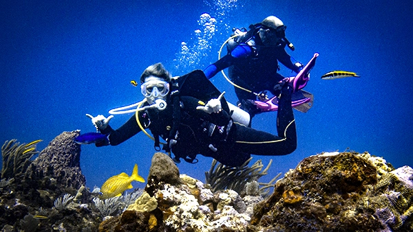 Referral check out dives