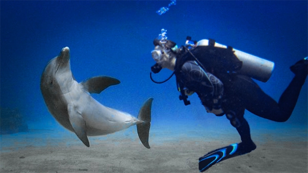 Scuba dive Cozumel from Cancun