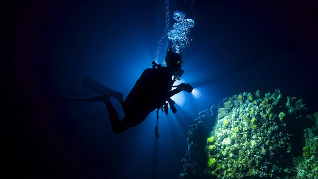 Night diving Cancun