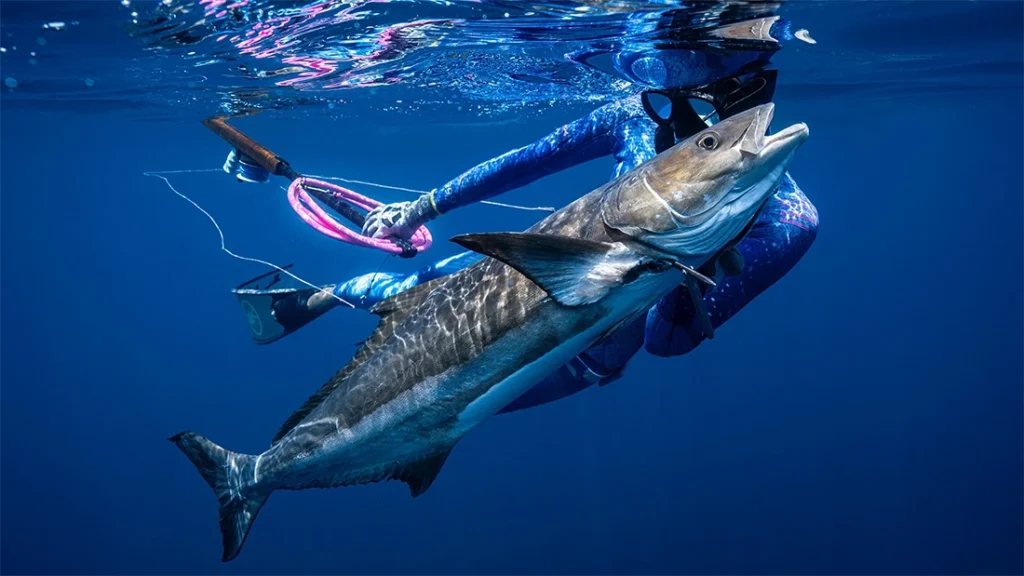 Spearfishing Cancun