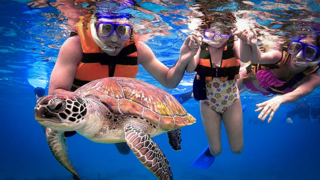 Turtle snorkeling tour Cancun