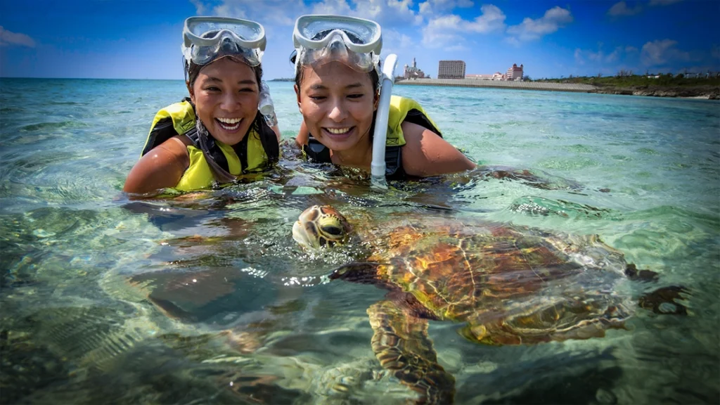Beginner snorkel tour Cancun