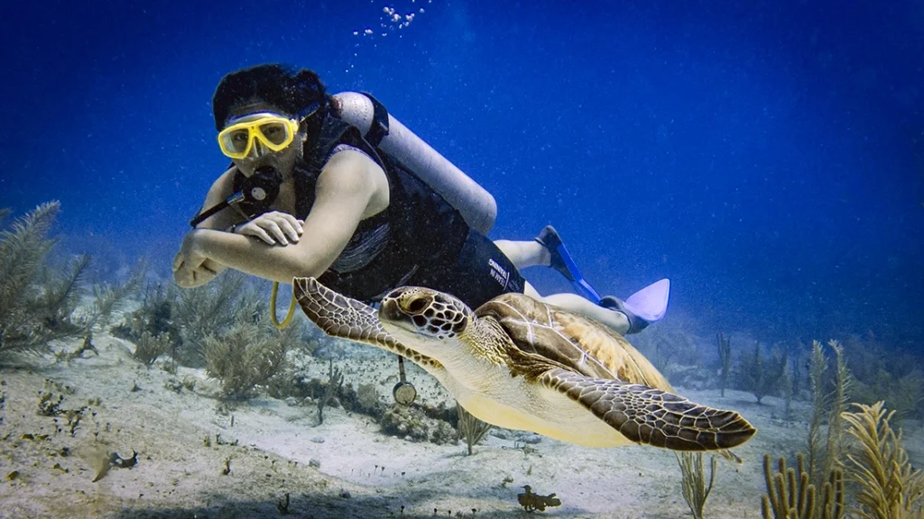 PADI Open Water Course Cancun