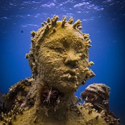 A close up of a Musa sculpture taken while scuba diving