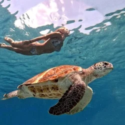 Young lady swims alongside a turtle near Playa Mujeres.